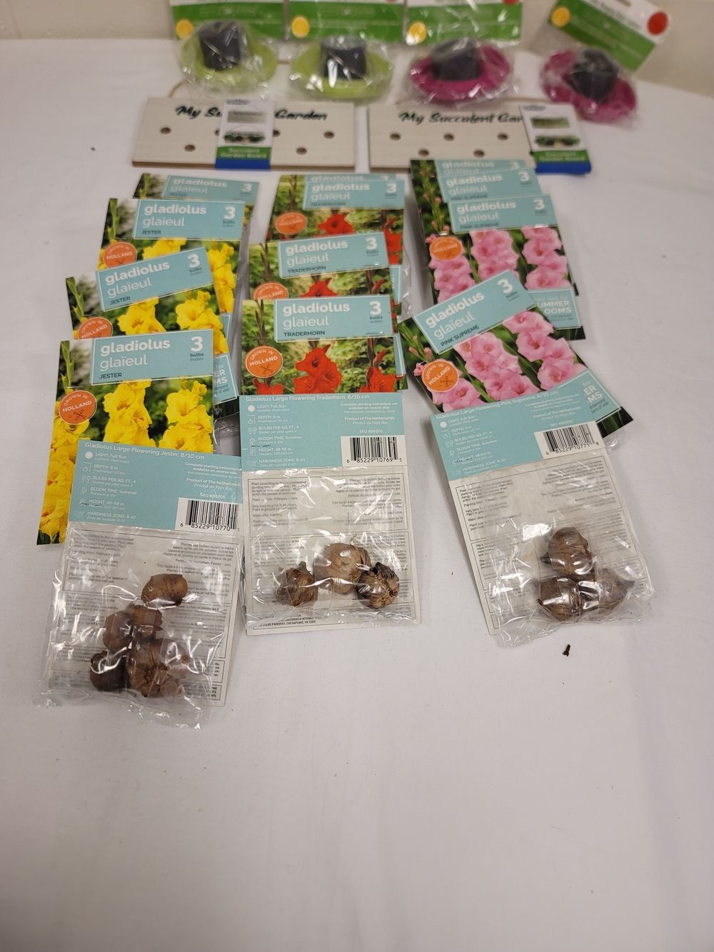 Gladiolus Bulb Packets – Yellow, Red, Pink